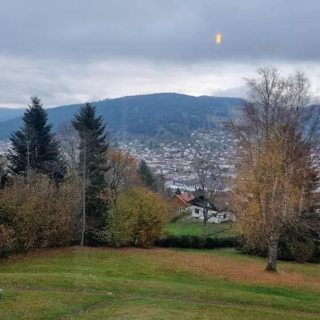 Apartment Le Petit Geromois - Free Parking Gerardmer
